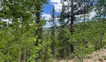 847 County Road 787, Alma, CO 80420