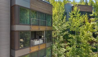 728 S Galena St 202-B, Aspen, CO 81611