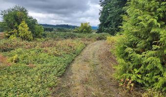 19326 Alsea Hwy, Alsea, OR 97324