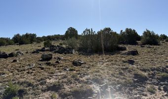 Lot 49 Windsor valley Ranch Drive, Concho, AZ 85924