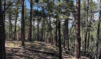 El Vado Way lot 1662, Angel Fire, NM 87710