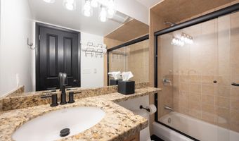901 E Hyman Ave 4, Aspen, CO 81611