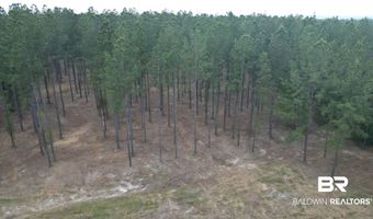Ronald Sanks Road, Bay Minette, AL 36507