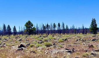 White Birch Lane lot 4, Bly, OR 97622