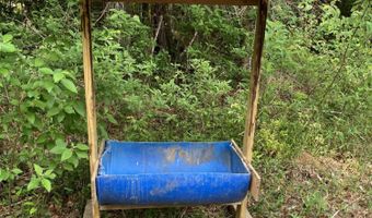 40 Acres Forestry Road 356, Beaumont, MS 39423