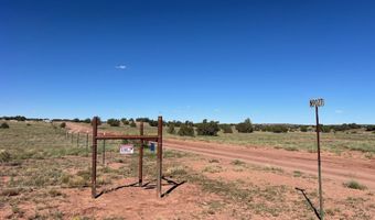 002 N9027, Concho, AZ 85924