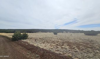 Tbd CR 8065, Concho, AZ 85924