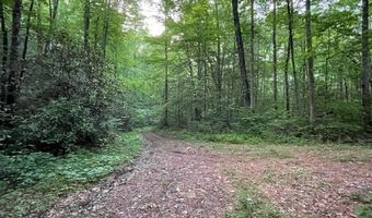 000 Chestnut Oaks, Andrews, NC 28901
