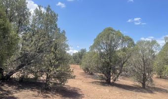 4934 Elk Trail Rd, Clay Springs, AZ 85923