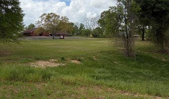 1151 Hwy 123, Ariton, AL 36311