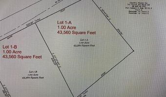 Lot 1-A Daniels Lane, Bennettsville, SC 29512