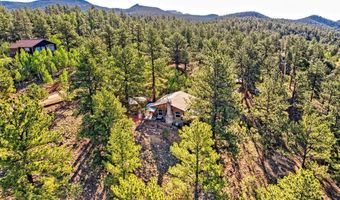 226 Hall Rd, Bailey, CO 80421