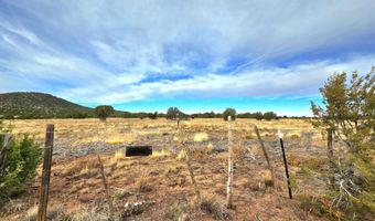 32 34 Co Rd N8172, Concho, AZ 85924
