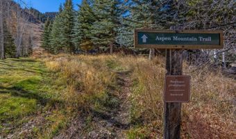 650 S Monarch St 7, Aspen, CO 81611