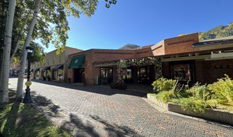 419 E Cooper Ave, Aspen, CO 81611