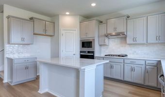 336 Bushwack Dr Plan: Colton, Adkins, TX 78101