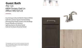 6804 Snowy Owl Ln, Affton, MO 63123