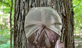 Pleasant Hill Road, Ashland, MS 38603