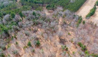 Dover Drive lot 2 +/-43 Ac, Adams, WI 53910