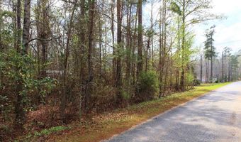 550 Forest Blvd 2 Additional Adjacent Lots Included, Abbeville, AL 36310