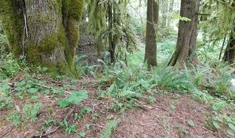 10286 RIDGE VIEW Ter, Birkenfeld, OR 97016