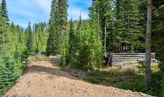 NHN Miners Road, Anaconda, MT 59711
