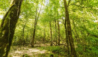 235 Woodrow Martin Rd, Brandon, MS 39042