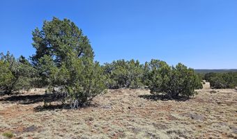 Tbd N8060, Concho, AZ 85924