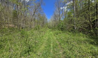 0 Hale Ridge Rd, Beattyville, KY 41311