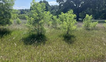 3380 Babylon Rd, Allegan, MI 49010