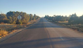 1 COUNTY ROAD N8155, Concho, AZ 85924