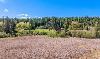 4610 Kelso Lake Rd, Athol, ID 83801