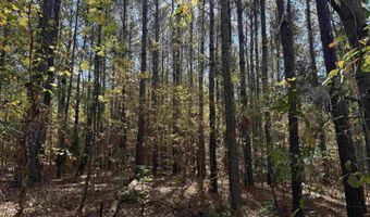 793 Puncheon Creek Dr, Andrews, SC 29510