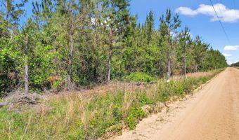 Tract 1 Sanderling, Alma, GA 31510