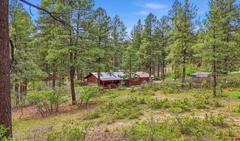14 Pine Cone Dr, Bayfield, CO 81122