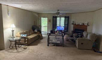 807 Collins Rd, Blaine, TN 37709
