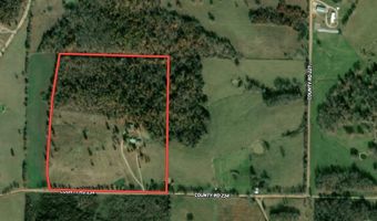 363 County Road 234, Alton, MO 65606