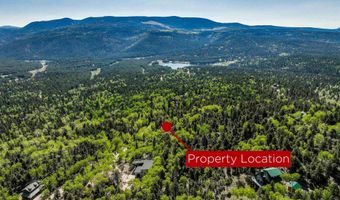 41 Rio Arriba Dr, Angel Fire, NM 87710