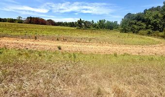 1983 Minton Chapel Rd, Bartow, GA 30413
