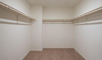 10622 Ross Goose, Adkins, TX 78101