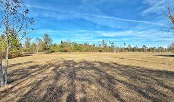 21382 NW Paradise Ln, Altha, FL 32421