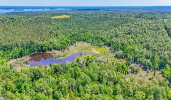 93 Acres Dell Rd, Bainbridge, GA 39819