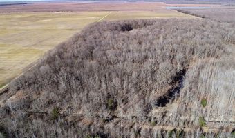 6075 Curtis Rd, Batesville, MS 38606