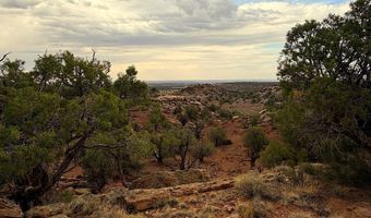 77 CR N8604, Concho, AZ 85924
