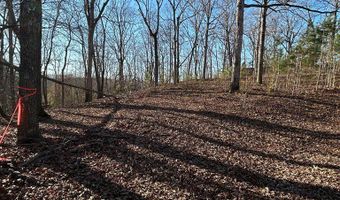 SNOW RD, Big Sandy, TN 38221