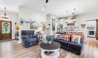 250 Saddlebrook Cir, Austin, AR 72007