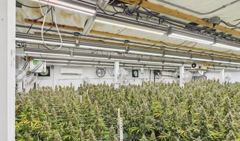 Fickle Hill Road, Arcata, CA 95521