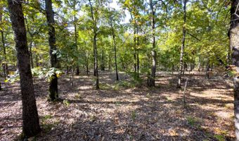 160 Jones Creek Rd, McAlester, OK 74501