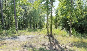Perkins Road, Barnesville, GA 30204