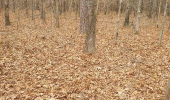 0 WOOD Ln 1, Ashville, AL 35953